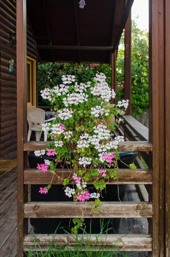 Tal Nof Cabins Villa Manot Exterior photo